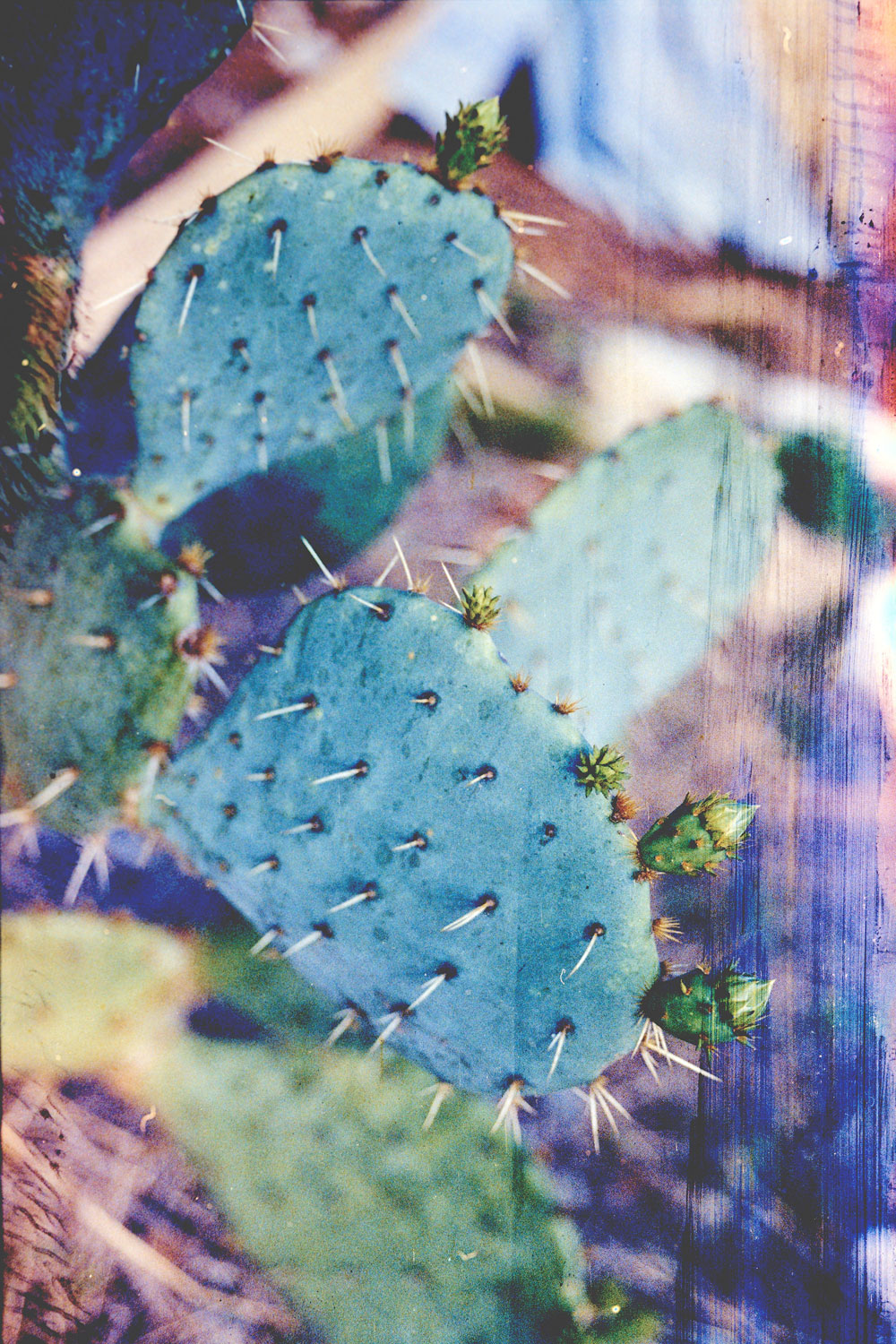 Darko's 5289 — 35mm Tungsten Cinema Film